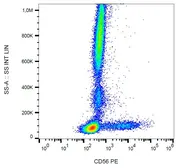 Anti-NCAM antibody [LT56] (PE) used in Flow cytometry (FACS). GTX00513-08