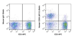 Anti-NCAM antibody [MY31] (Biotin) used in Flow cytometry (FACS). GTX01477-02