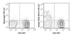 Anti-NCAM antibody [MY31] (PE-Cy7) used in Flow cytometry (FACS). GTX01477-10