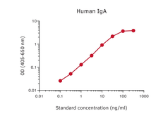 Human IgA (Fc) ELISA pair [MT57/MT20]. GTX03062