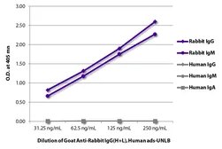 Goat Anti-Rabbit IgG antibody, pre-adsorbed. GTX03804