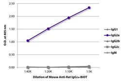 Mouse Anti-Rat IgG2a antibody [2A8F4] (Biotin). GTX04140-02