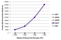 Mouse Anti-Rat IgG2c antibody [2C8F1] (FITC). GTX04142-06