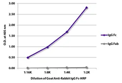 Goat Anti-Rabbit IgG (Fc) antibody, pre-adsorbed (HRP). GTX04148-01