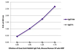 Goat Anti-Rabbit IgG (Fab) antibody, pre-adsorbed (HRP). GTX04151-01
