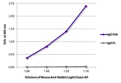 Mouse Anti-Rabbit (Light chain) antibody [SB62a] (AP). GTX04152-03