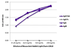 Mouse Anti-Rabbit (Light chain) antibody [SB62a]. GTX04152