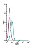 Anti-NCAM antibody used in Flow cytometry (FACS). GTX04796