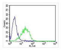 Anti-KLRC1 antibody used in Flow cytometry (FACS). GTX04876