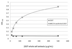 Anti-Arginase 1 antibody used in ELISA (ELISA). GTX113131