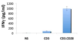 Anti-Interferon gamma antibody [2G1] used in ELISA (ELISA). GTX15624