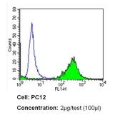 Anti-CD26 antibody [236.3] used in Flow cytometry (FACS). GTX15833
