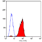 Anti-CD46 antibody [MEM-258] used in Flow cytometry (FACS). GTX20789