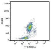 Anti-CD33 antibody [HIM3-4] used in Flow cytometry (FACS). GTX22579