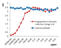 Anti-Angiopoietin 2 antibody [Angy-1-4] used in ELISA (ELISA). GTX33914