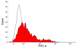 Anti-Wc1 antibody [CC101] (FITC) used in Flow cytometry (FACS). GTX43330