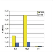 Anti-Histone H3K9acS10ph (Acetyl Lys9/phospho Ser10) antibody used in ChIP assay (ChIP assay). GTX60328