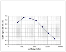 Anti-Histone H3K27me3S28ph (Tri-methyl Lys27/phospho Ser28) antibody - ChIP grade used in ELISA (ELISA). GTX60329