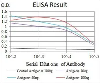 Anti-Integrin beta 1 / CD29 antibody [3B6B2] used in ELISA (ELISA). GTX60564