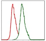 Anti-Alkaline Phosphatase (Tissue Non-Specific) antibody [2F4] used in Flow cytometry (FACS). GTX60568