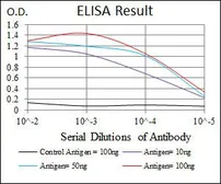 Anti-MAP2 antibody [5B7] used in ELISA (ELISA). GTX60608