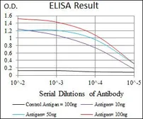 Anti-PLK1 antibody [1D1] used in ELISA (ELISA). GTX60624