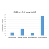 Anti-Histone H3K79me1 (Mono-methyl Lys79) antibody [RM147] used in ChIP assay (ChIP assay). GTX60880