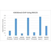 Anti-Histone H3K36me3 (Tri-methyl Lys36) antibody [RM155] used in ChIP assay (ChIP assay). GTX60882