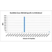 Anti-Histone H3K18me2 (Di-methyl Lys18) antibody [RM168] used in  (). GTX60899