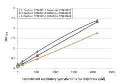 Anti-Respiratory Syncytial virus Nucleoprotein antibody [HL1246] used in ELISA (ELISA). GTX636648