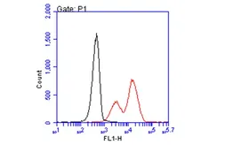 Anti-HLA-B7 antibody [BB7.1] used in Flow cytometry (FACS). GTX639674