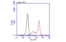 Anti-HLA-A2 antibody [BB7.2] used in Flow cytometry (FACS). GTX639675