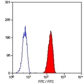 Anti-CD32 antibody [AT10] (FITC) used in Flow cytometry (FACS). GTX74626