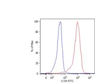 Anti-Cytokeratin 18 antibody [DC-10] (Biotin) used in Flow cytometry (FACS). GTX78239