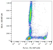 Anti-CD8 antibody [MEM-31] (FITC) used in Flow cytometry (FACS). GTX78258