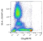 Anti-CD45RB antibody [MEM-55] (PE) used in Flow cytometry (FACS). GTX78300