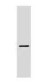 Anti-Plasmolipin antibody used in Western Blot (WB). GTX79201