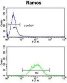 Anti-PCM1 antibody, Internal used in Flow cytometry (FACS). GTX81421