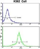 Anti-PCM1 antibody, C-term used in Flow cytometry (FACS). GTX81422