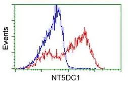 Anti-NT5DC1 antibody [3H2] used in Flow cytometry (FACS). GTX83991