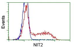 Anti-NIT2 antibody [2B9] used in Flow cytometry (FACS). GTX84036