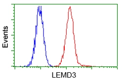 Anti-LEMD3 antibody [3H1] used in Flow cytometry (FACS). GTX84221