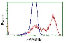 Anti-FAM84B antibody [4A4] used in Flow cytometry (FACS). GTX84525