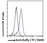 Anti-DARC antibody, N-term used in Flow cytometry (FACS). GTX89467